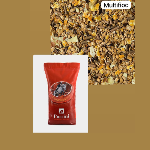 Porrini Multifioc